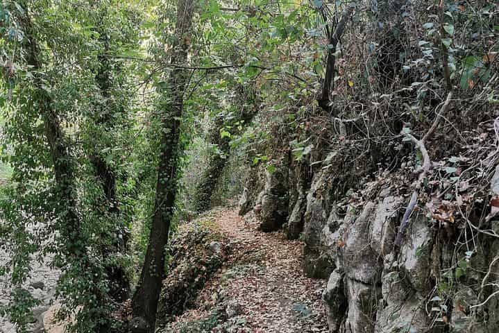 טיול רגלי במוכתר עם פעילויות חוץ בלבנון*️