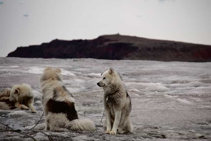 Jewels of Nuuk – Private Guided Walking Tour