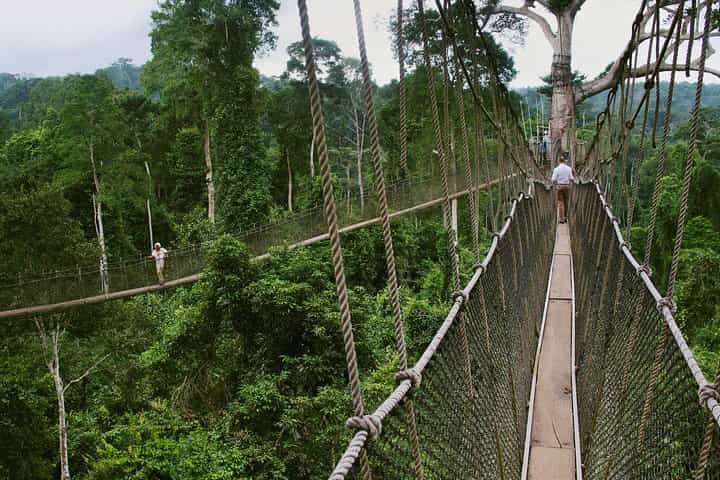 טור המורשת מעקר לקייפ קוסט לאלמינה
