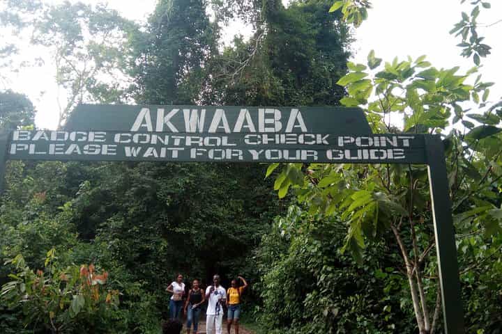 טור המורשת מעקר לקייפ קוסט לאלמינה