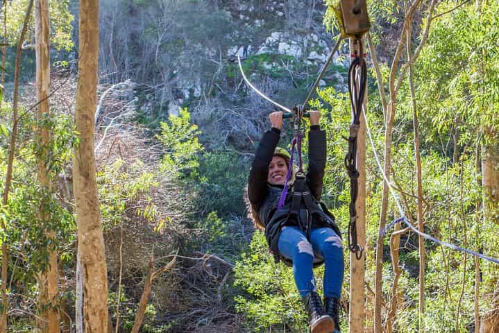 יום הרפתקאות בכף