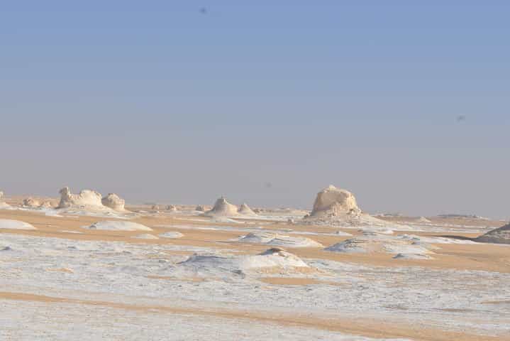 ספארי במדבר הלבן והשחור