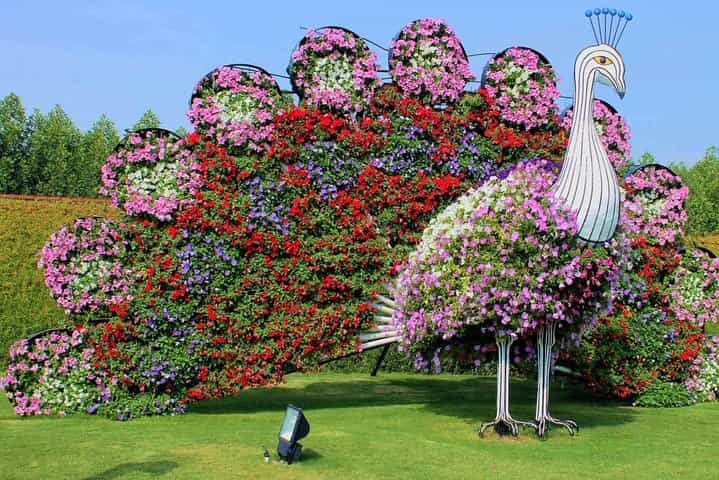 Private Dubai Miracle Garden tour with round trip transfers