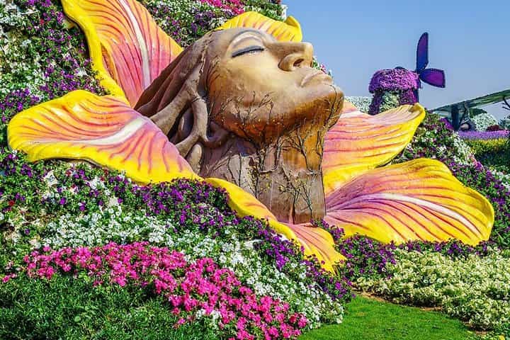 Private Dubai Miracle Garden tour with round trip transfers