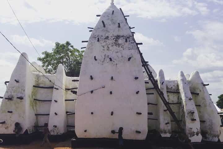 Mole National Park Elephant Safari with Round - Trip Flights