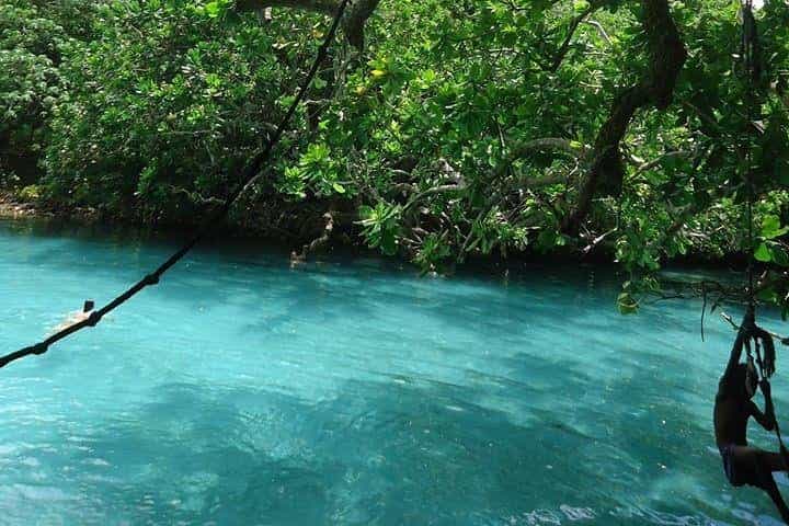 סיור מלא ביום מסביב לאי ואנואטו מפורט וילה