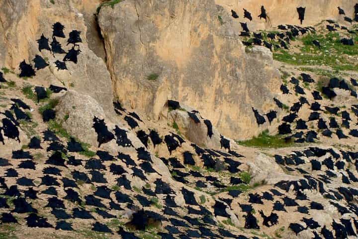 סיכומים: היסטוריה ומורשת - סיור רגלי