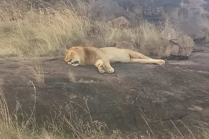 חופשת ספארי הרפתקאות משולבת קניה וטנזניה במשך 8 ימים