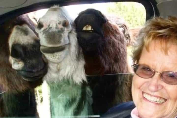 טיול פרטי למונומנטים של הר ראשמור, קרייזי הורס ופארק קוסטר סטייט