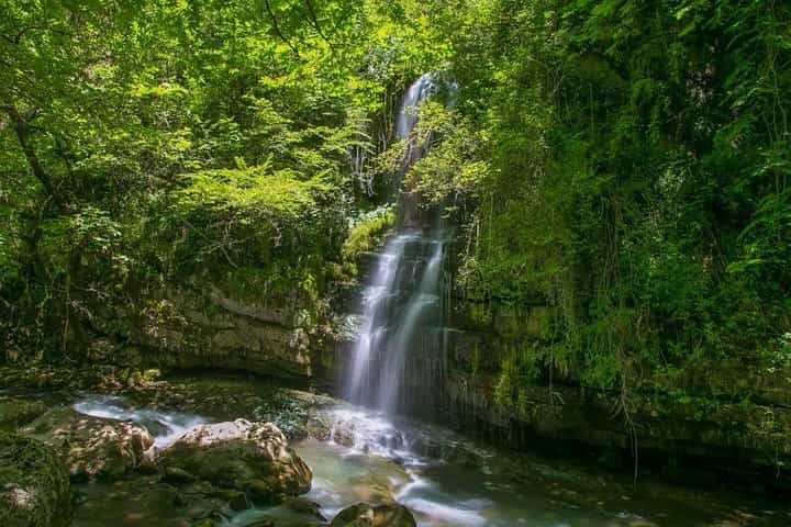 כפרי קטסנוכוריה