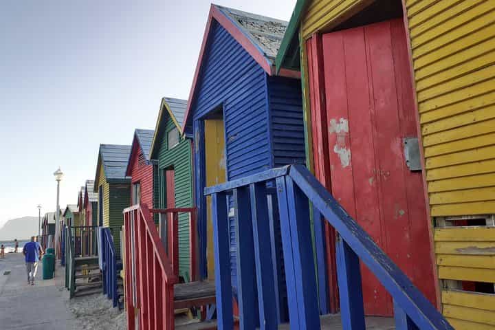 סיור חצי יום לפינגווינים האפריקאיים