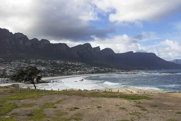 סיור חצי יום לפינגווינים האפריקאיים