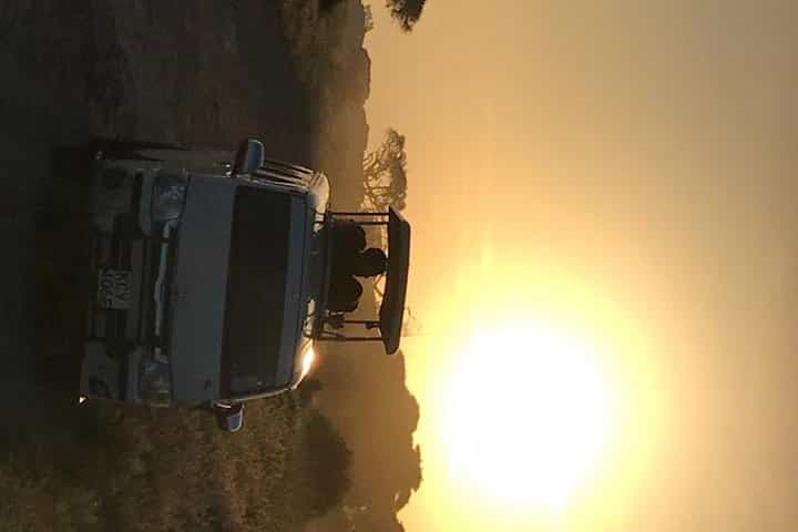 ספארי מהמם של 8 ימים בקניה וטנזניה