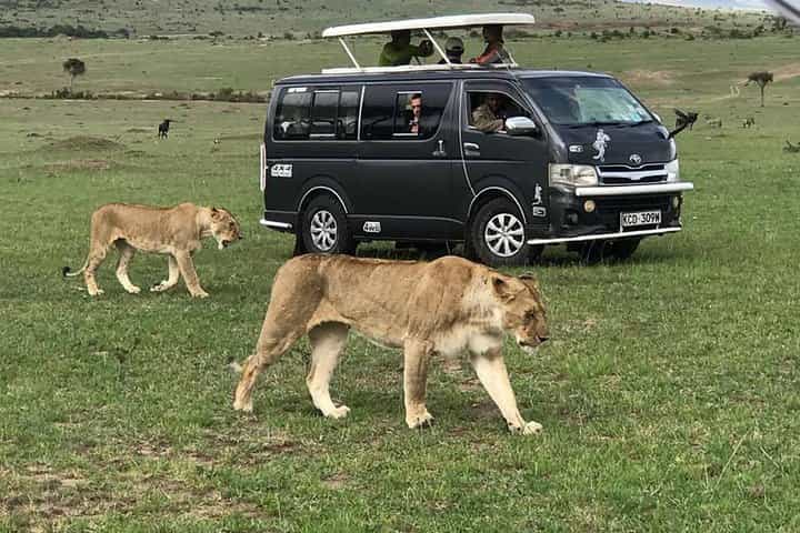 ספארי מהמם של 8 ימים בקניה וטנזניה