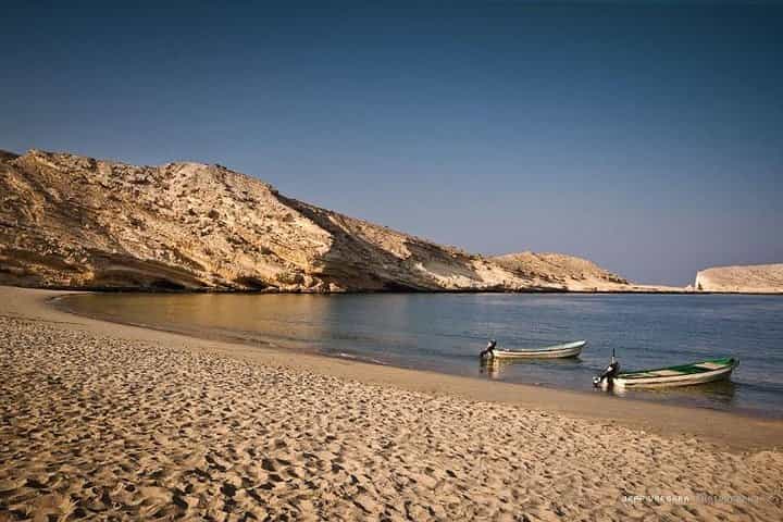 מוסקאט המסתורית