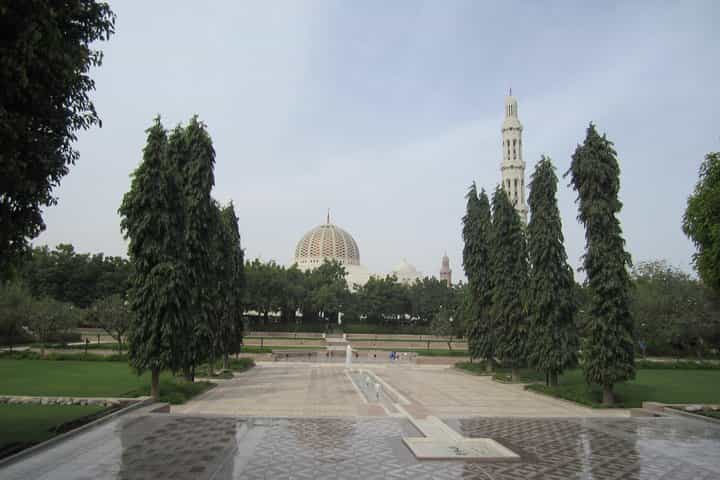 מוסקאט המסתורית