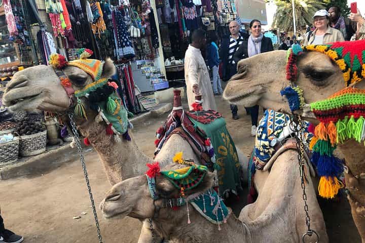 קרוז נילוס מלוקסור לאסואן 4 לילות (דלקס)