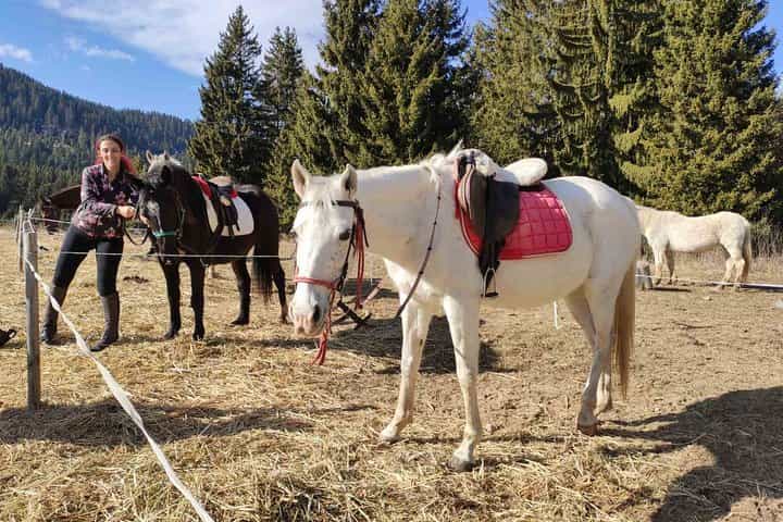 Horse Riding in the Heart of the Rhodope Mountains