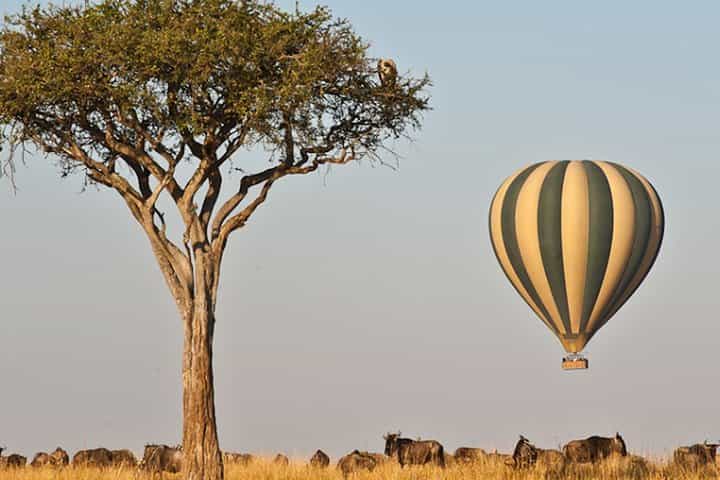 ספארי של 4 ימים בצפון טסאו, אמבוסלי וטסאו מערב