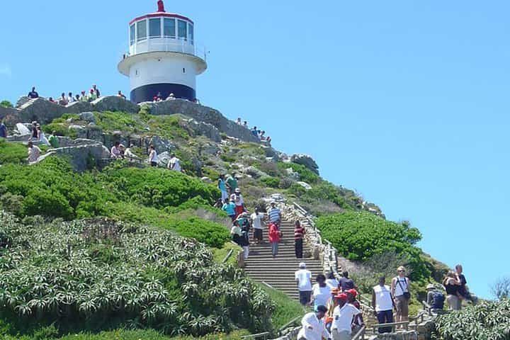 Full Day Table Mountain, Cape Point & Winelands Tour