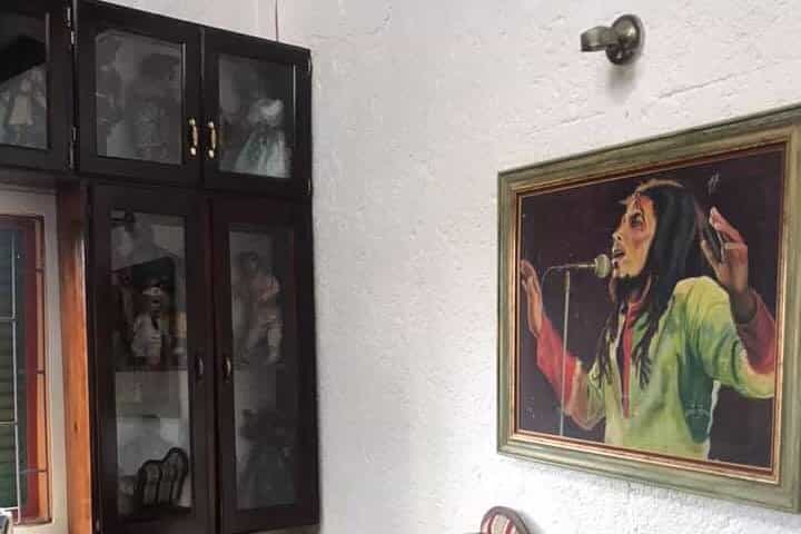 Bob Marley & Blue Hole Transportation Only 