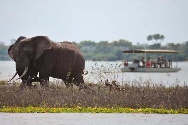 ספארי של 4 ימים מדאר אס סלאם; סלואוס/נייררה ופארק מיקומי