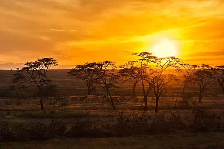 חשפו את האוצרות הנסתרים של טנזניה: ספארי רואה, סלואוס ומיקומי