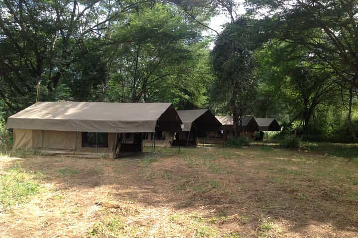 ניסיון ספארי פרטי של 8 ימים בטנזניה