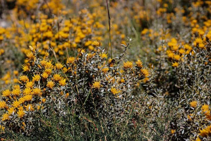 Private Full Day Tour to Colina Hot Springs in Cajón del Maipo