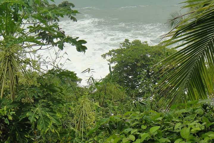 Puerto‌ ‌Limón‌'s Historical Treasures: A Private Walking Tour 