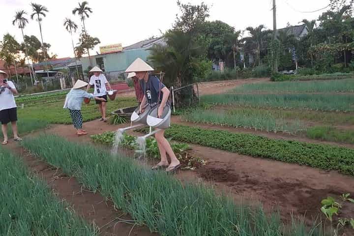 Basket Boat ride - Vegetable Farming Activities -Pottery Village - Buffalo ride