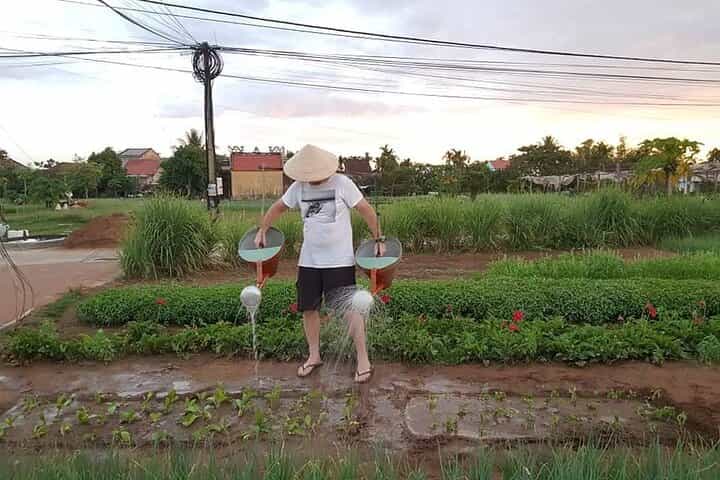 Basket Boat ride - Vegetable Farming Activities -Pottery Village - Buffalo ride