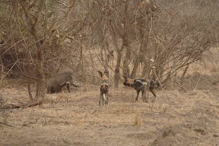 6 ימי הרפתקאות רואה ומיקומי