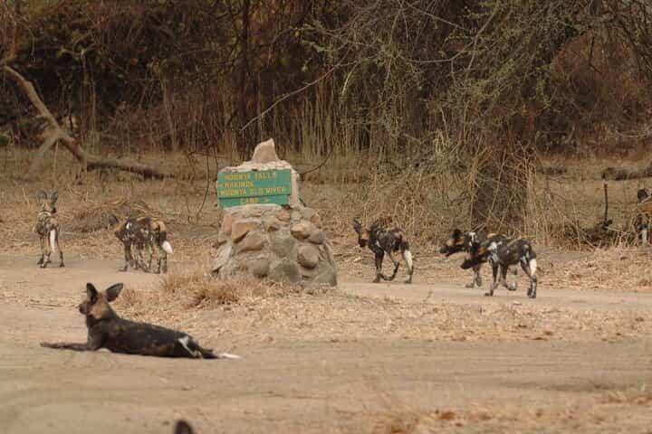 6 ימי הרפתקאות רואה ומיקומי