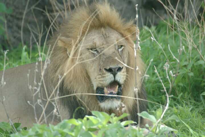 6 ימי הרפתקאות רואה ומיקומי