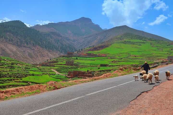 מארקש: הטיול התרבותי הטוב ביותר לכפרים ברברים, הרי האטלס ומפלים