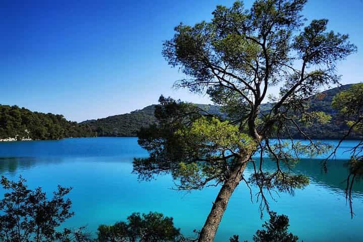 סיור באי מלט