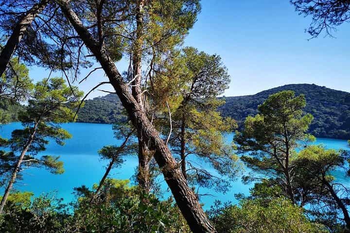 סיור באי מלט