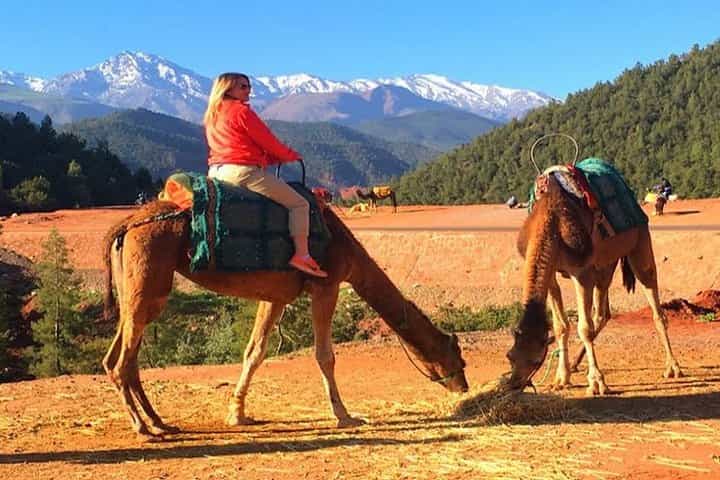Marrakech: Atlas Mountains, vallyes & Waterfalls Day Tour 