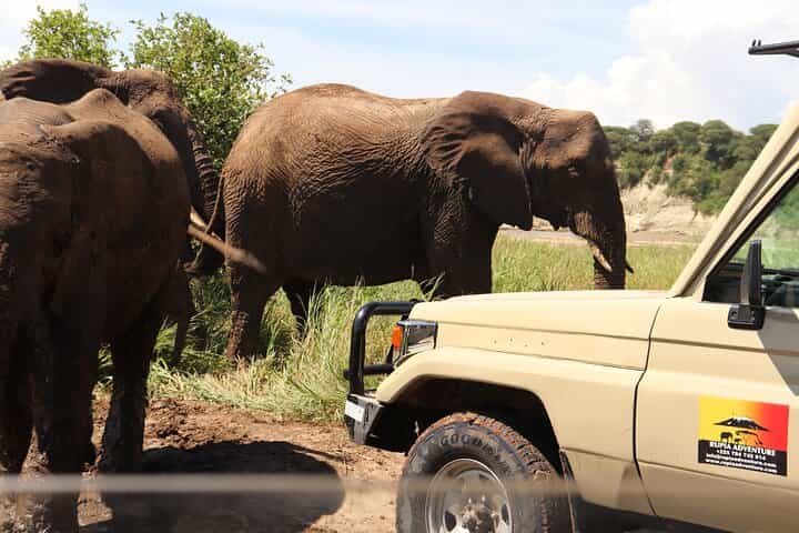 4 Days Tanzania Safari - Tarangire, Serengeti, Ngorongoro Crater 