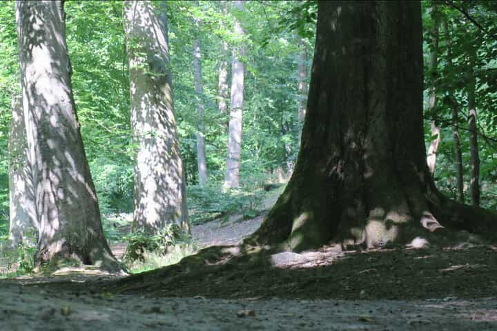 הרפתקת ריצת שטח קופנהגן הגדולה