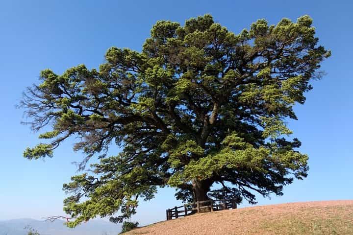 טיול פרטי של 2 ימים לדונגצ'ואן אדמת האדום - חיוב לפי רכב.