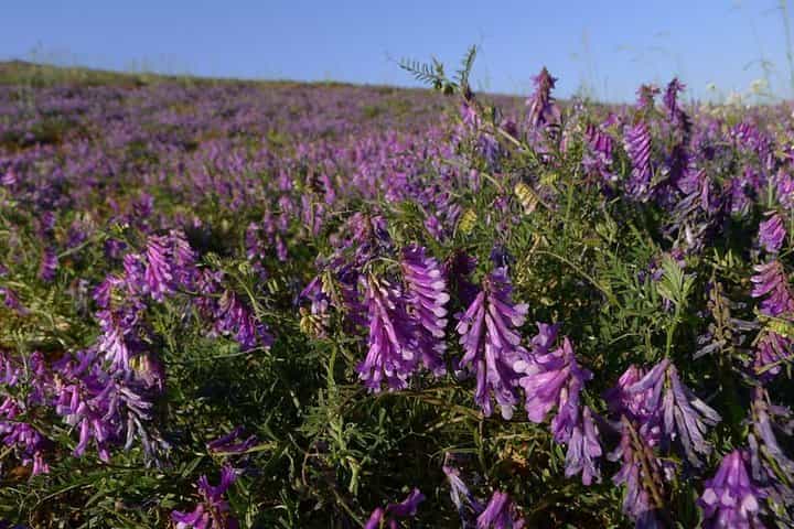 טיול פרטי של 2 ימים לדונגצ'ואן אדמת האדום - חיוב לפי רכב.