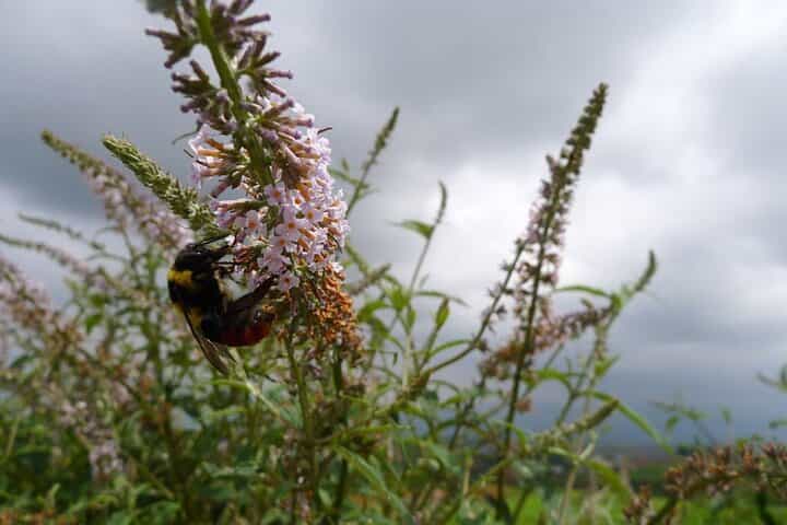 טיול פרטי של 2 ימים לדונגצ'ואן אדמת האדום - חיוב לפי רכב.