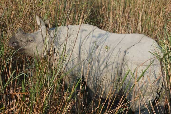 Meghalaya With Kaziranga from Guwahati