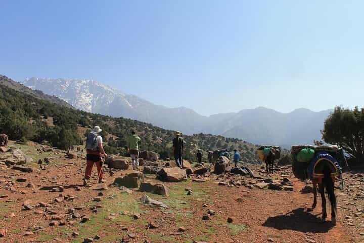  Marrakech: 3-Day Trek High Atlas Mountains and Berber Villages 