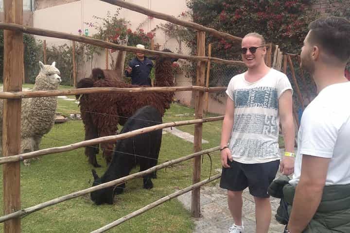 סיור רגלי בארקיפה: היסטוריה, אגדות ומסתורין