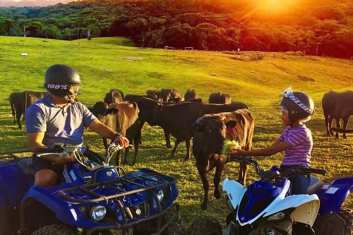Kuranda 60 minute Quad Bike Experience and Petting Farm