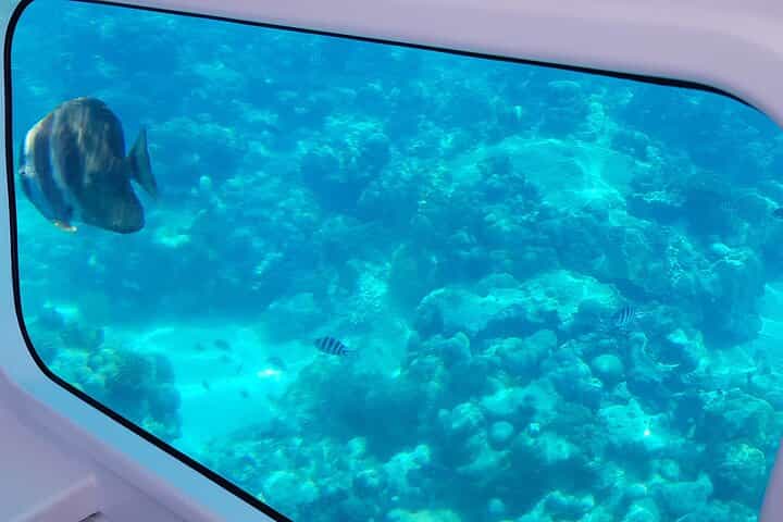 סיור בסמי-תת ימי בפארק הלאומי סנט אן