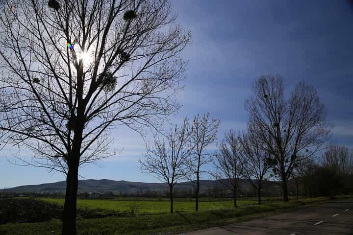הנקודות הממשיות של גיאורגיה 4 ימים ו-4 לילות